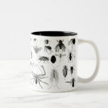 Entomology, Myriapoda and Arachnida Coffee Mugs