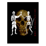 Epic Pirates Banner #11 Postcard