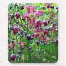 Epimedium Flowers Mousemats