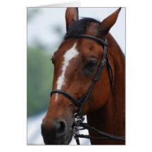 Equestrian Horse Show Greeting Card