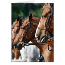 Equine Horse Show Greeting Card