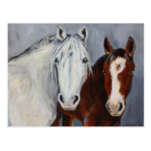 Equine Voices Mystic and Wyatt Postcard