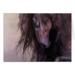 Equus Notecard