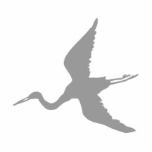 Ergee Egret Photo Cut Out