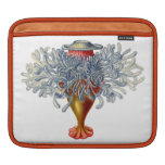 Ernst Haeckel Siphonophorae (1)  Ipad Sleeve
