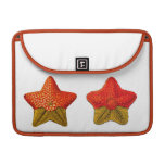 Ernst Haeckel Starfish laptop sleeve MacBook Pro Sleeves
