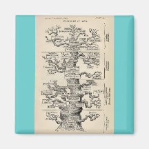 Ernst Haeckel's "tree of life" Magnets