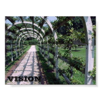 Espalier Apple Tree - Vision posters