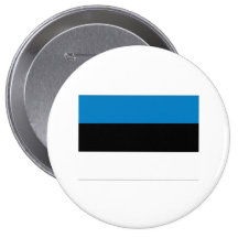 Estonia Pin