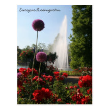 Europas Rosengarten Post Cards