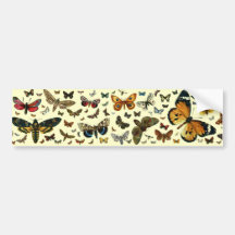 European Butterfly Collage Bumper Stickers