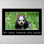 Even my dog knows you suck posters