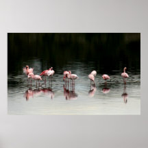 Evening at the Lake - Print