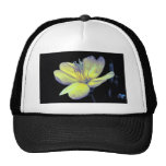 Evening Primrose Trucker Hats