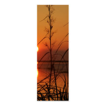 Evening Sun Reflection Business Card