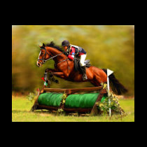 Eventer - Horse Art t-shirts