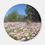 Everlasting Flowers Magnets