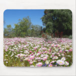 Everlasting Flowers Mouse Mats