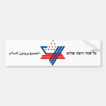 everyone wants peace bumper sticker
