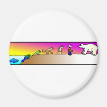 EVOLUTION 101 REFRIGERATOR MAGNET