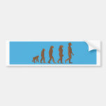 Evolution Bumper Sticker