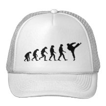 Evolution of Karate Hats