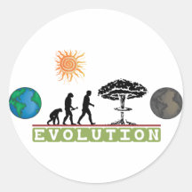 Evolution T-Shirt Round Stickers