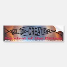 Evolution vs. Creation Bumper Sticker