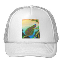 Exotic Green Peacock Hat