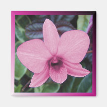 Exotic Orchid Refrigerator Magnet