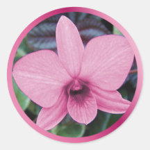 Exotic Orchid Stickers