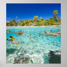 Exotic vacations posters