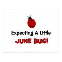 Expecting A Little June Bug Maternity Post Cards