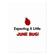 Expecting A Little June Bug Maternity Postcards