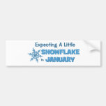 Expecting A Little Snowflake in January Maternity Bumper Stickers