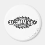 Expelliarus! Refrigerator Magnet