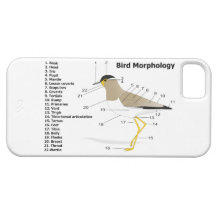 External Morphology of a Bird Vanellus Malabaricus iPhone 5 Case