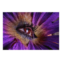 Eye Flower Photograph
