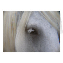 Eye of Fell Pony Cards