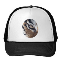Eye of the Tiger Mesh Hats