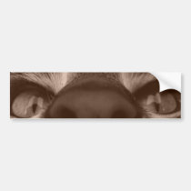 eye see you bumper stickers