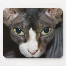 Eyes looking at you! mouse pad