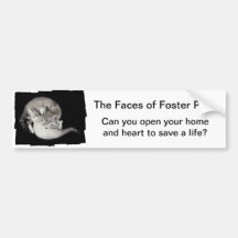 Faces of Foster Pets Bumper Sticker