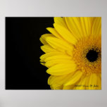 Facing Simpleness Poster