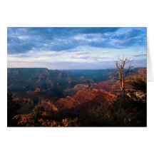 Fading Daylight Card