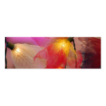 Faerie Lights - Skinny Business Card