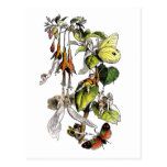 Fairie (Faerie) Postcard by Richard Doyle