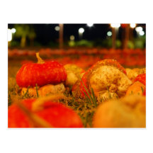 Fairy Gourds Postcard