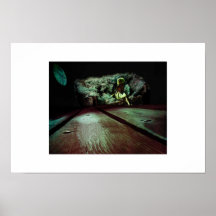 Fairy Tales and Other Anomalies Posters