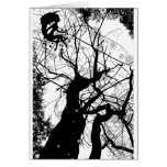 FAIRY WEBBY TREE BUBBLES B&W GREETING CARDS